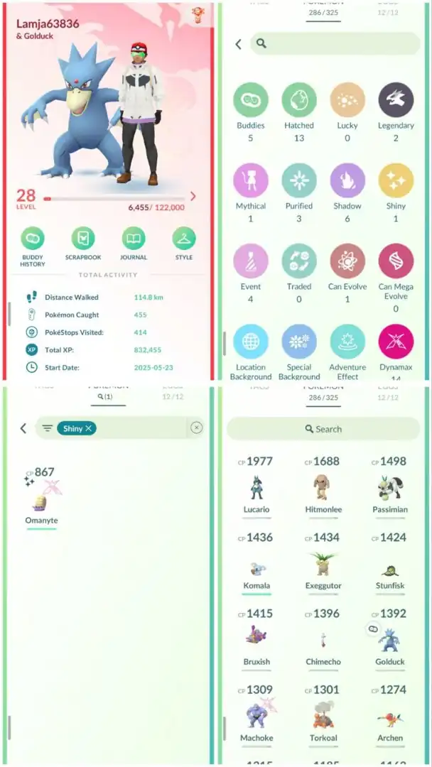 R107 | Level28 | 2 Legendary | 1 Shiny Dmax | Lucario | 14 Dmax | Mini account