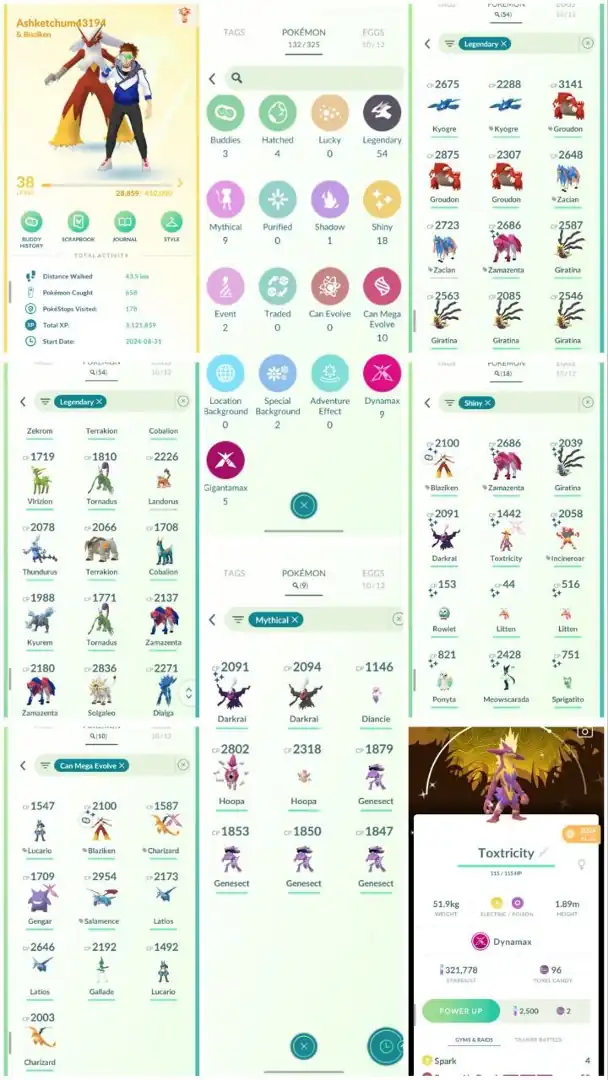 R81 | Level38 | 54 Legendary | 18 Shiny | 2 Shiny Legend | Shiny Zamazenta | Shiny Giratina | Mega Lucario | Shiny Dmax Special  |